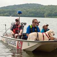 <p>Search and rescue dogs and their handlers came to Monksville Reservoir in Ringwood for a two-day training, dubbed Water Workout Weekend.</p>