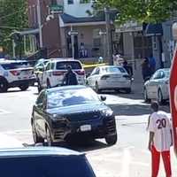 Police Shoot, Kill Dog Mauling Man In Philadelphia: Authorities