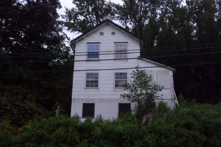 Woman Left 50 Dogs In Hudson Valley Home With Little Food, Water, Police Say