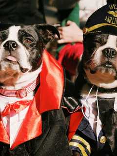 Allendale Festival Features Pies, Pet Parade, Perhaps Pontiacs