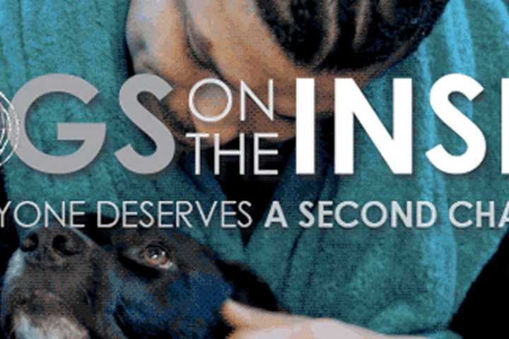 See Fairfield Resident's 'Dogs on the Inside' Film At Library