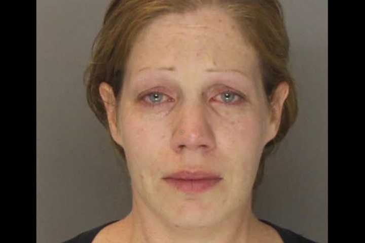 PA Woman Hit Son In Head With Metal Baseball Bat In Facebook Video: Police