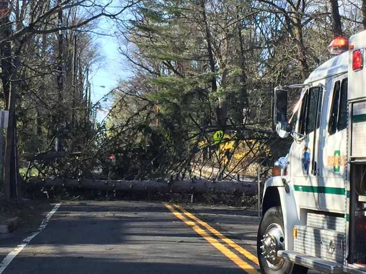 Trees were a casualty of this Sunday morning&#x27;s wind, and Ramsey Rescue helped clear them.