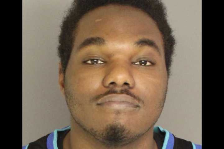 PA Man Steals, Crashes Car On New Year's Day: Police