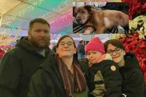 Final Dog Rescued From Devastating Christmas Day Fire Reunited With Family In Maryland