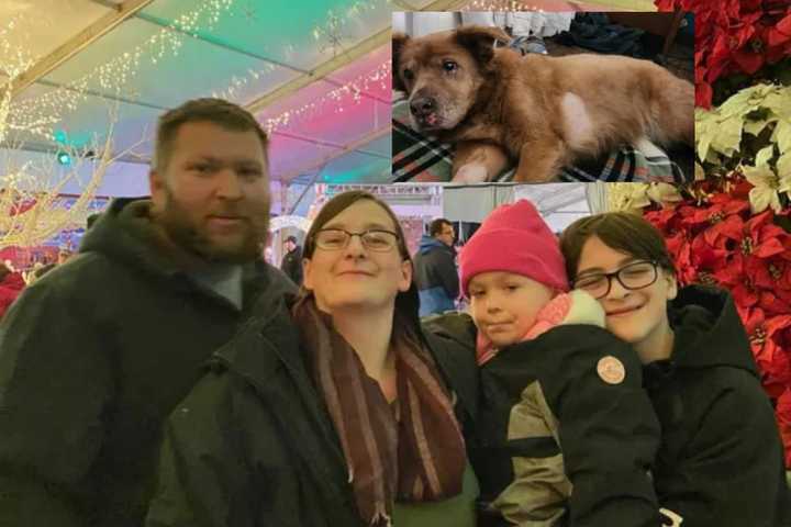 Final Dog Rescued From Devastating Christmas Day Fire Reunited With Family In Maryland