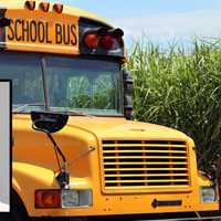 Pellet-Firing Teen Charged For 'Shooting Missile' At Prince William County School Bus: Police