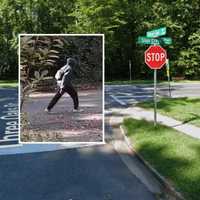 <p>The suspect was caught near the intersection of Sligo Creek Parkway and Three Oaks Drive in Silver Spring.</p>