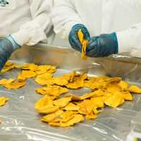 <p>Dried mango at a processing facility.&nbsp;</p>