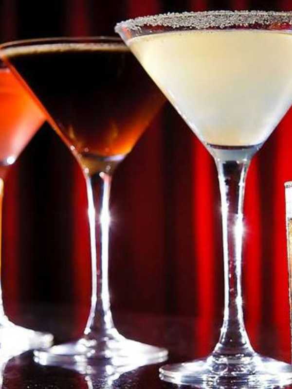 Saddle River Valley Residents Club To Hold Ladies Night Out