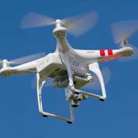 Drones Fly Over Sound Shore To Hunt Down Accurate Deer Population Count