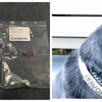 Lack Of License Plate Leads To Traffic Stop, Drug Bust Assisted By K-9 Officer On I-84