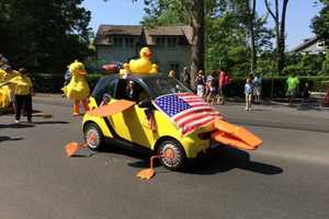 Great Duck Race Coming To Waters Of Westport