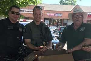 Ducklings Stuck In Storm Drain Rescued In Amityville