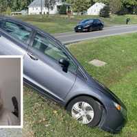 Son Of A Ditch: Repeat DUI Driver Had Bottle Of Booze In Hands After VA Crash, Sheriff Says
