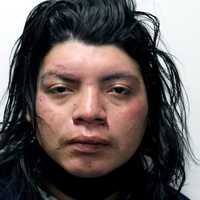 PalPark Police Make Arrest Following Attempted Burglary