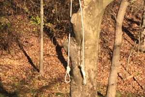 KNOW ANYTHING? Suspicious Cord Found Hanging From Lansdale Park Tree