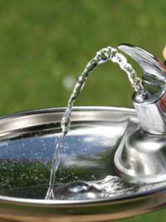 Preliminary Report Shows Teaneck Schools' Water Has Elevated Levels Of Lead