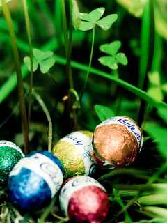 It's Time To Hunt Eggs In Eastchester