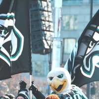 <p>Philadelphia Eagles fans</p>