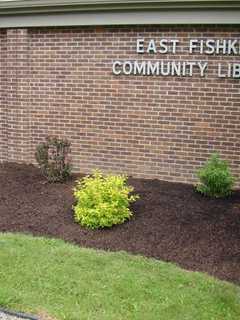 East Fishkill Library Program Focuses On Raw Foods