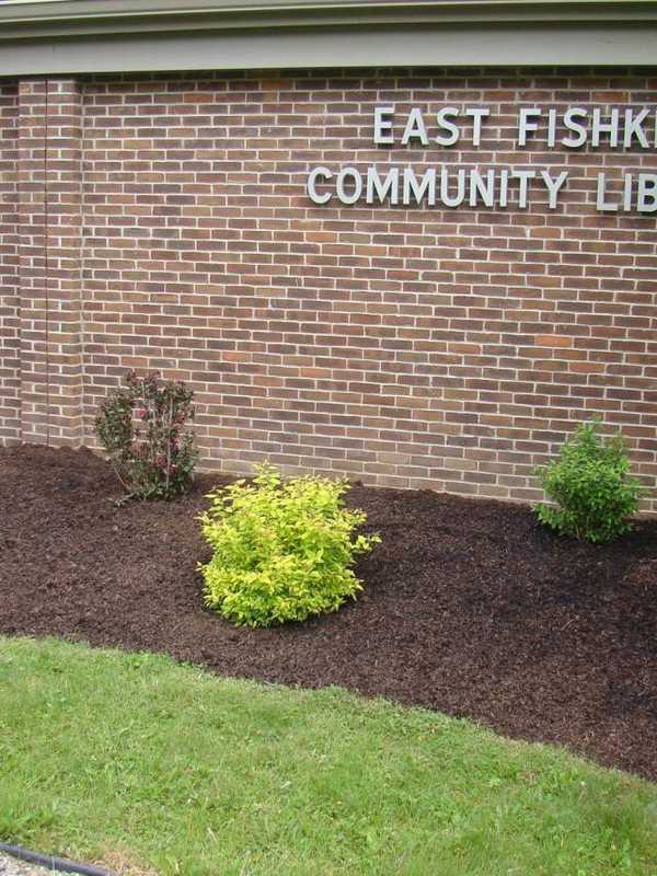 East Fishkill Library Program Focuses On Raw Foods