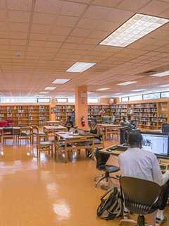 A Play Takes Stage At Eastchester Library