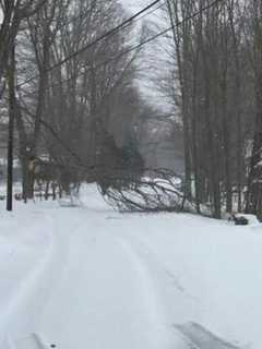 Honeysuckle Hill Lane, Silver Hill Road Closed In Easton