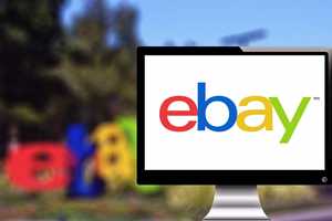 Ex-eBay Execs Who Sent Live Roaches, Fetal Pig To MA Couple Sentenced To Prison: Feds