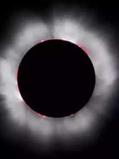 Several Orange County Locales Don't Want You To Miss The Eclipse