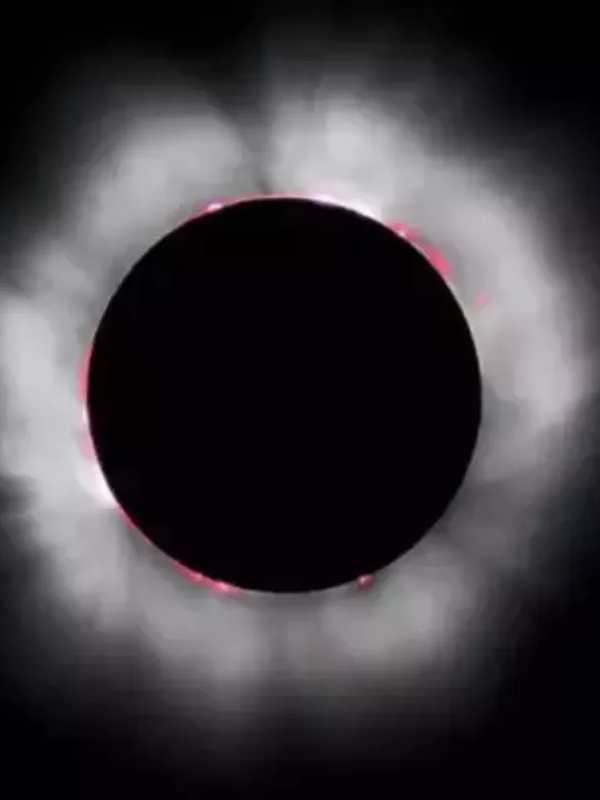 Several Orange County Locales Don't Want You To Miss The Eclipse