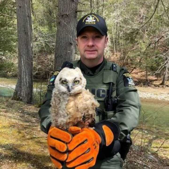 ECO Doroski with the injured owl fledgling