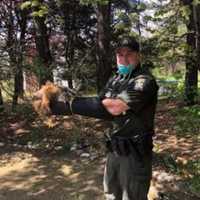 <p>ECO Officer Kevin Wamsley with the squirrels.</p>