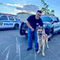 Hackettstown Police Department Welcomes New K-9 Officer Edo