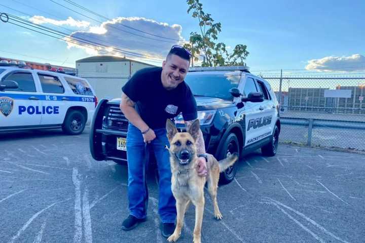 Hackettstown Police Department Welcomes New K-9 Officer Edo