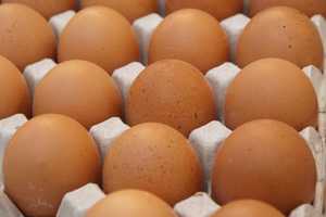 FDA Elevates Egg Recall By NY-Based Manufacturer Over Salmonella Concerns