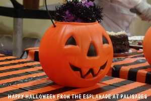 Trick Or Treat: Seniors Celebrate Halloween At Esplanade At Palisades