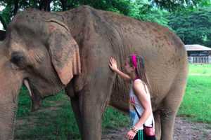 Stamford Teen Travels To Thailand To Save Elephants