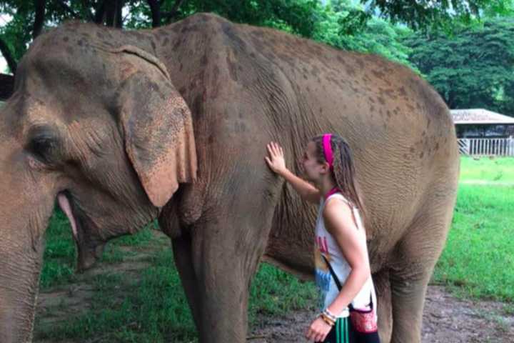 Stamford Teen Travels To Thailand To Save Elephants