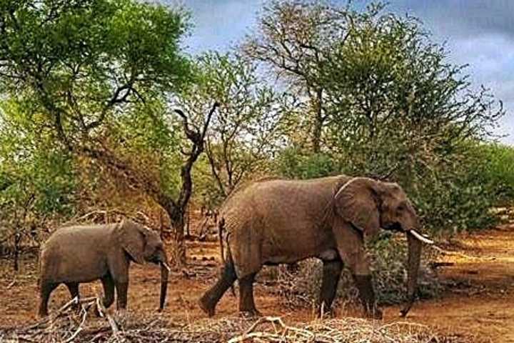 Photographer Features Images 'From Africa To Allendale'