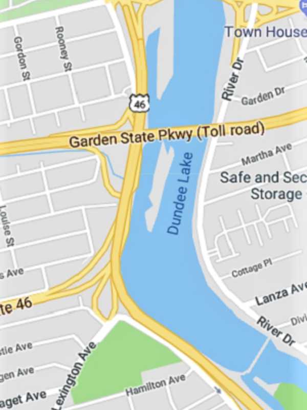 Falling Tree Hits Car, Blocks River Road In Elmwood Park