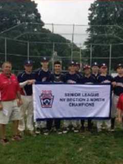 Elmsford Little League Wins New York State Championship