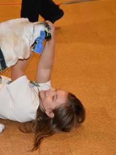 Retirement Party For Greenwich Triathlete's Guide Dog Is Fit For A King