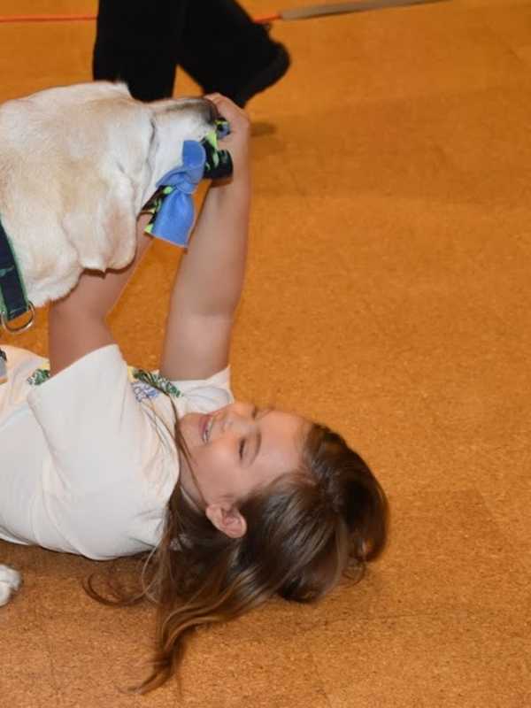 Retirement Party For Greenwich Triathlete's Guide Dog Is Fit For A King