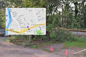 Decapitated Goat Found In Container Off Route 80 In Elmwood Park