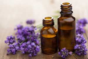 Bloomingdale Senior Center Teaches Weight Loss Tips Using Essential Oils