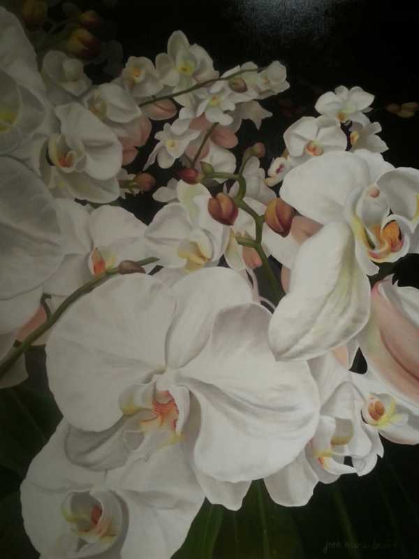 Fort Lee Artist Displays Oil Paintings In Demarest Gallery