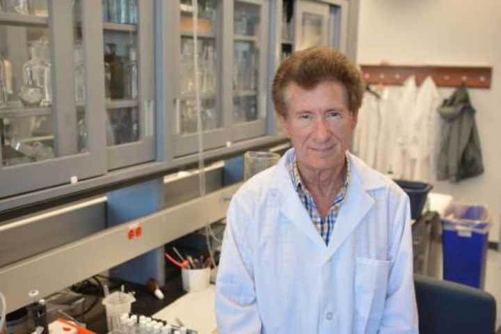Ex-Yale Professor Being Investigated For Sexual Misconduct Involving Student Interns