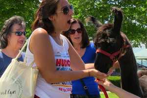 Peekskill Hosting Annual Hudson Valley Expo