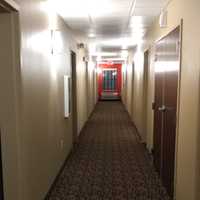 Would-Be Robbers Ambush Rutherford Hotel Hooker, Flee Empty-Handed, Police Say